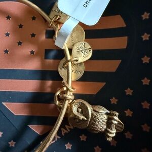 Alex and Ani Gold Owl Charm Bracelet New in Box Never Worn Bracelet